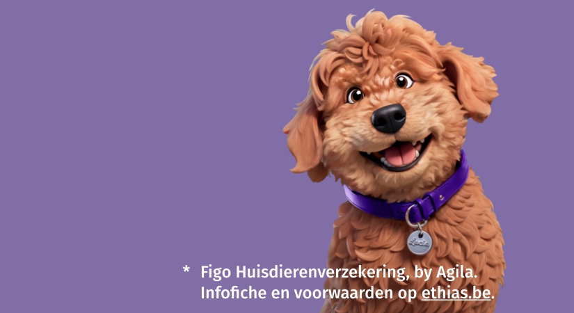 Bescherm je trouwe vriendjes!